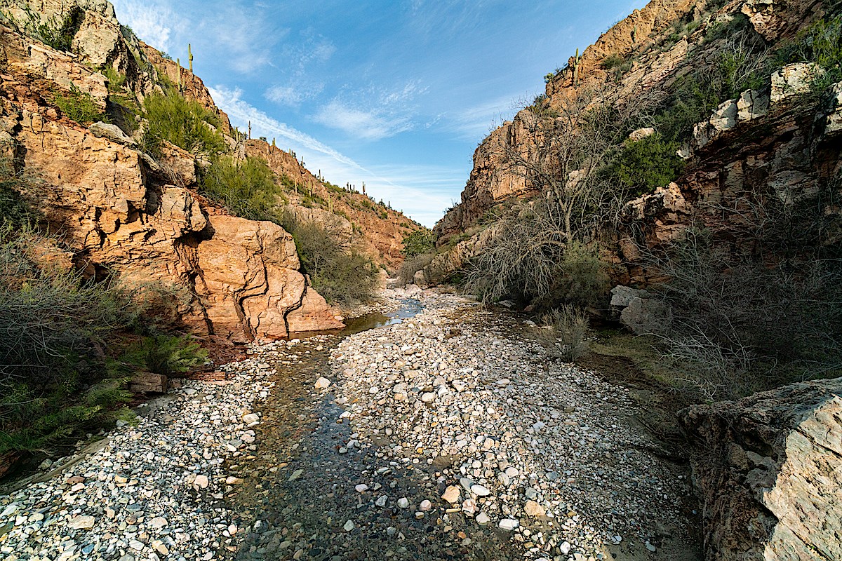 Water in Edgar Canyon. February 2019.
